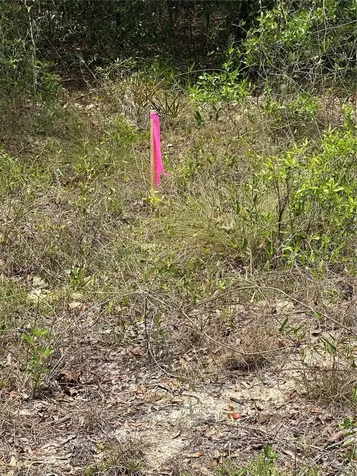 NE 112th Court Archer FL 32618