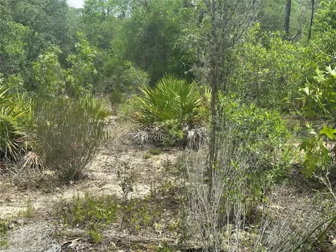 NE 112th Court Archer FL 32618