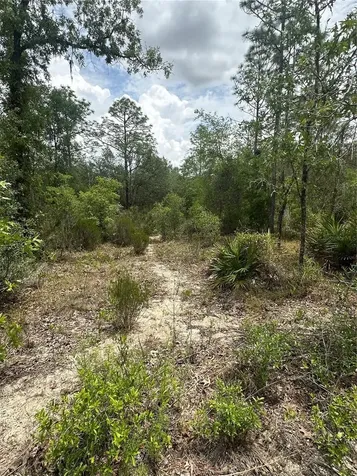 NE 112th Court Archer FL 32618