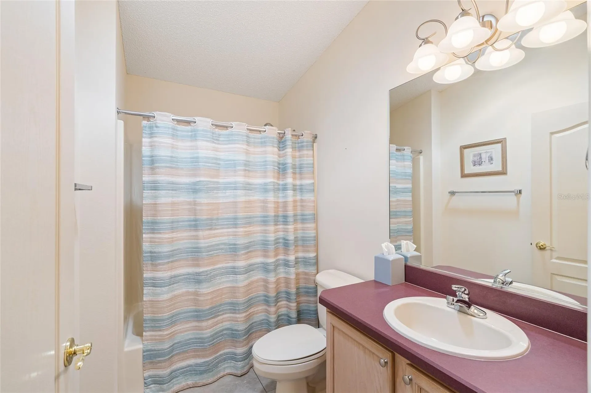17300 SE 93rd Heyward Avenue The Villages FL 32162