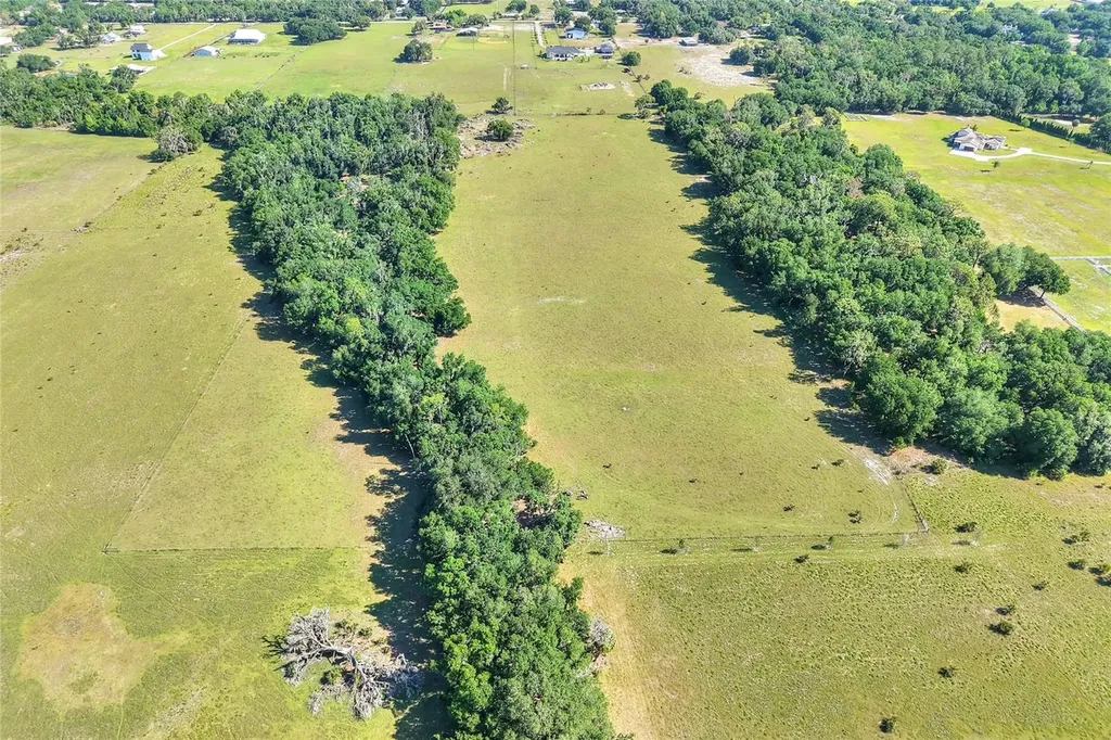 Lithia FL 33547