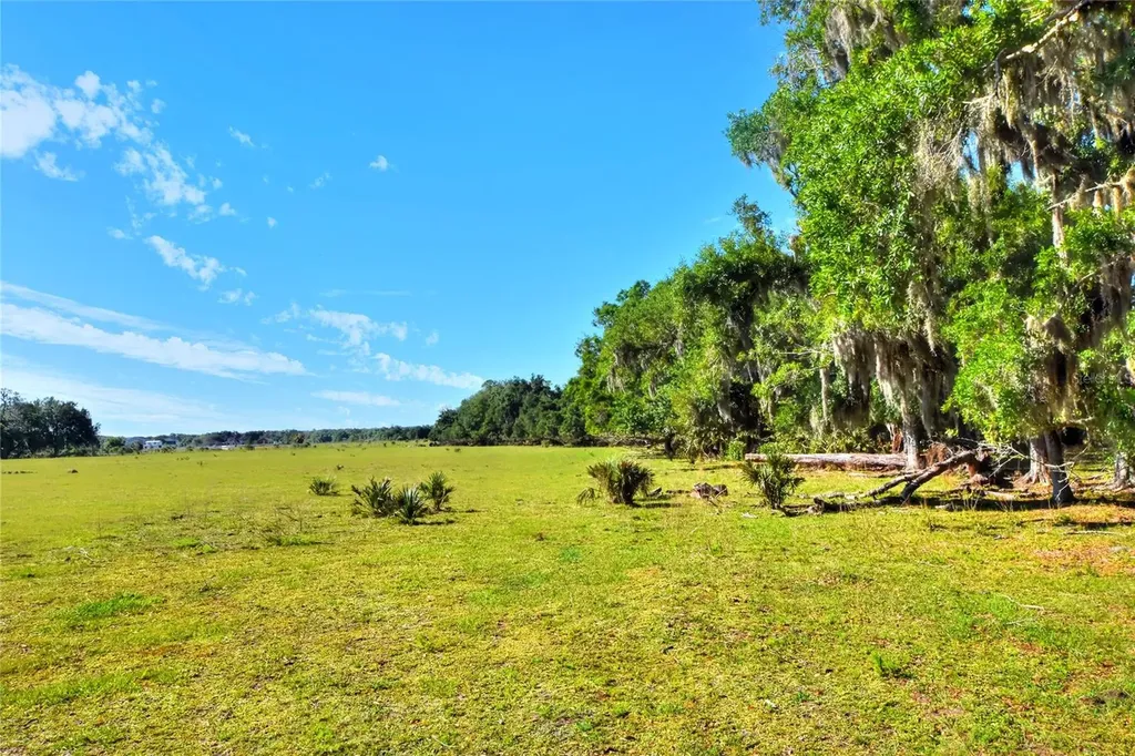 Lithia FL 33547