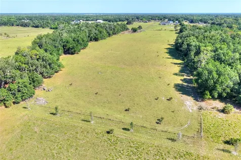 Lithia FL 33547