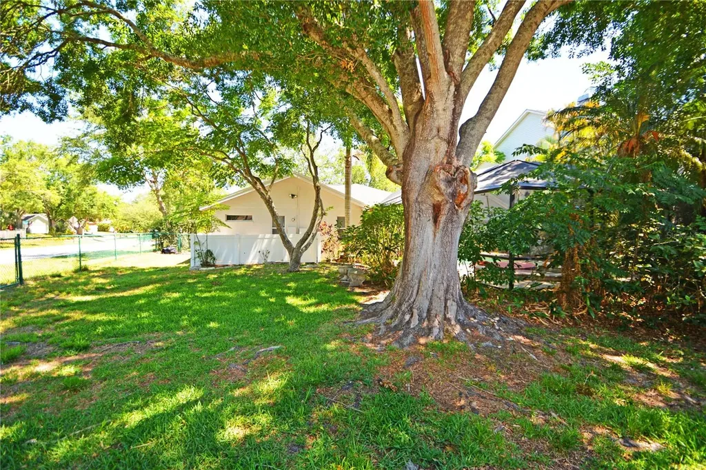 3293 Mallard Drive Safety Harbor FL 34695