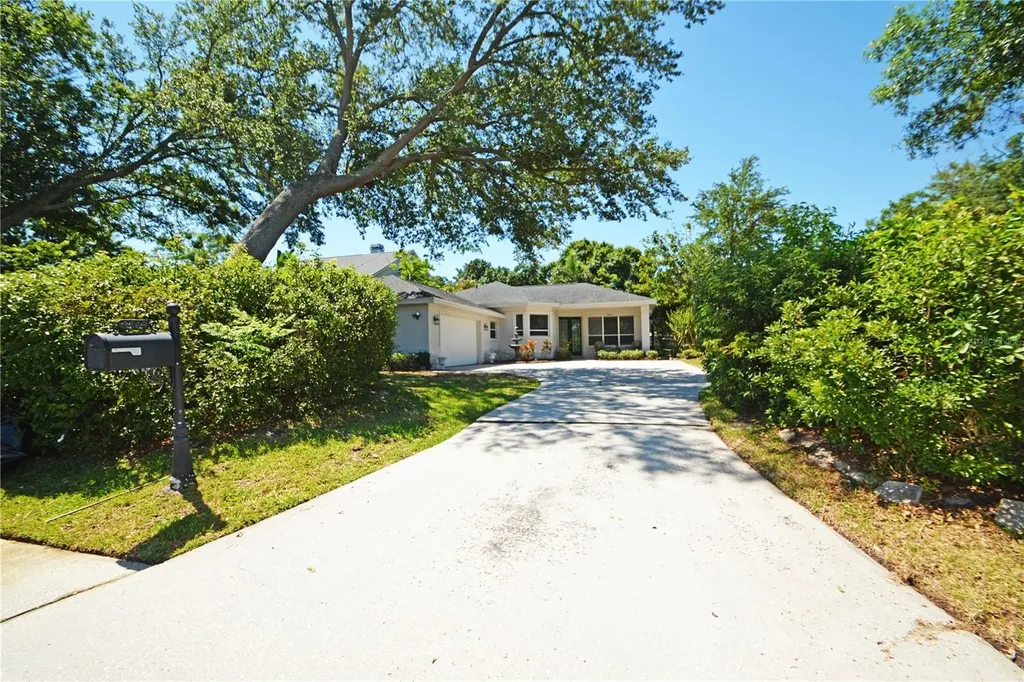 3293 Mallard Drive Safety Harbor FL 34695