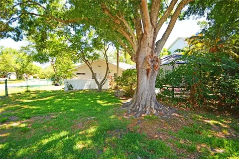 3293 Mallard Drive Safety Harbor FL 34695
