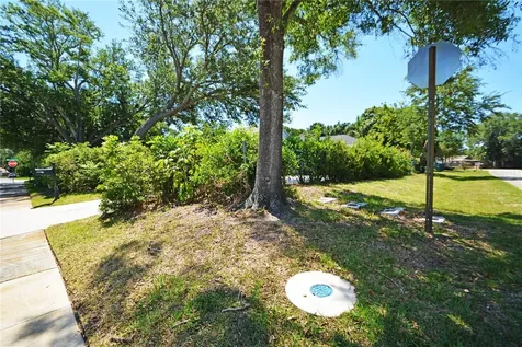 3293 Mallard Drive Safety Harbor FL 34695