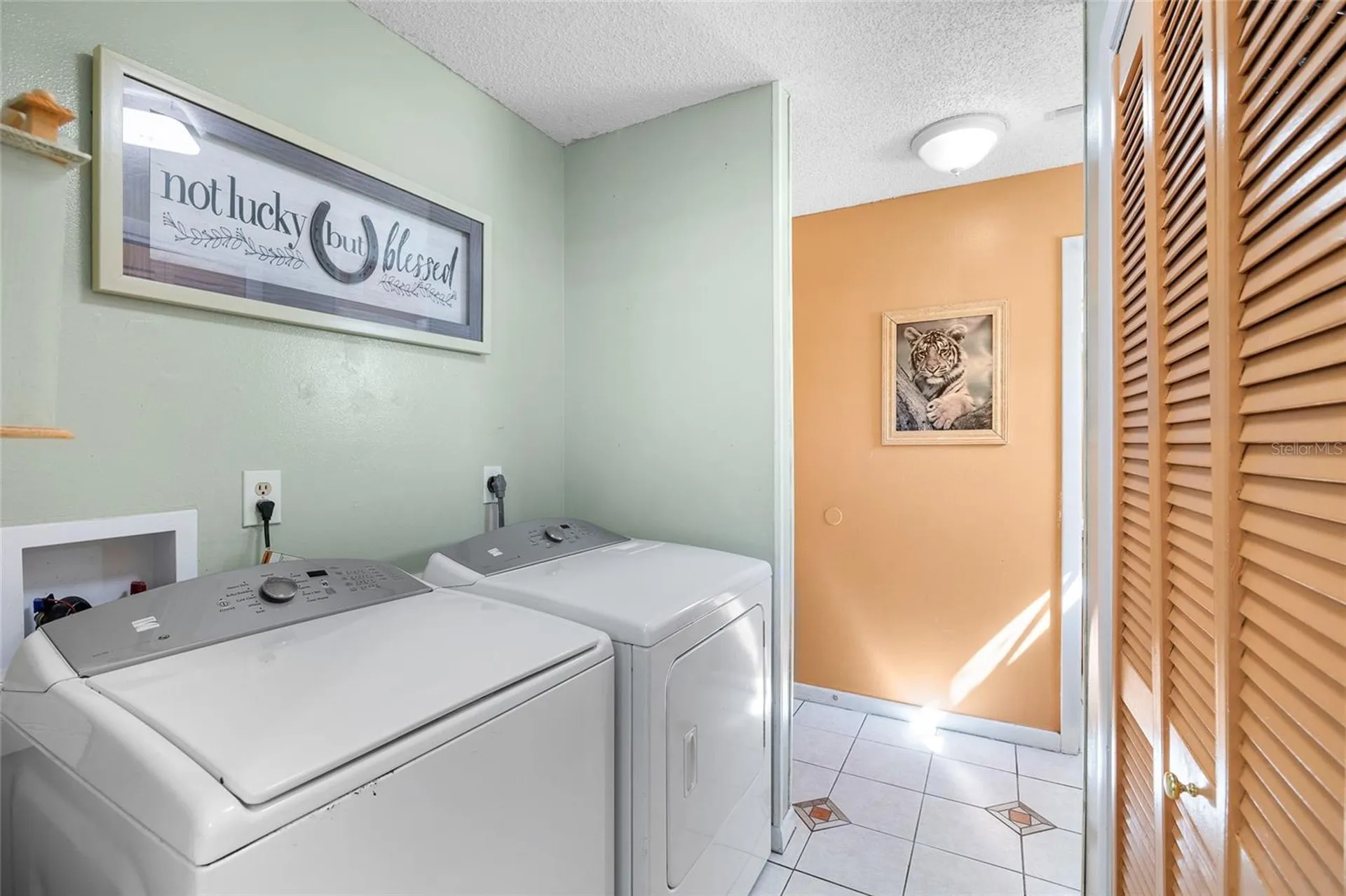 34 Misty Meadow Lane Mulberry FL 33860