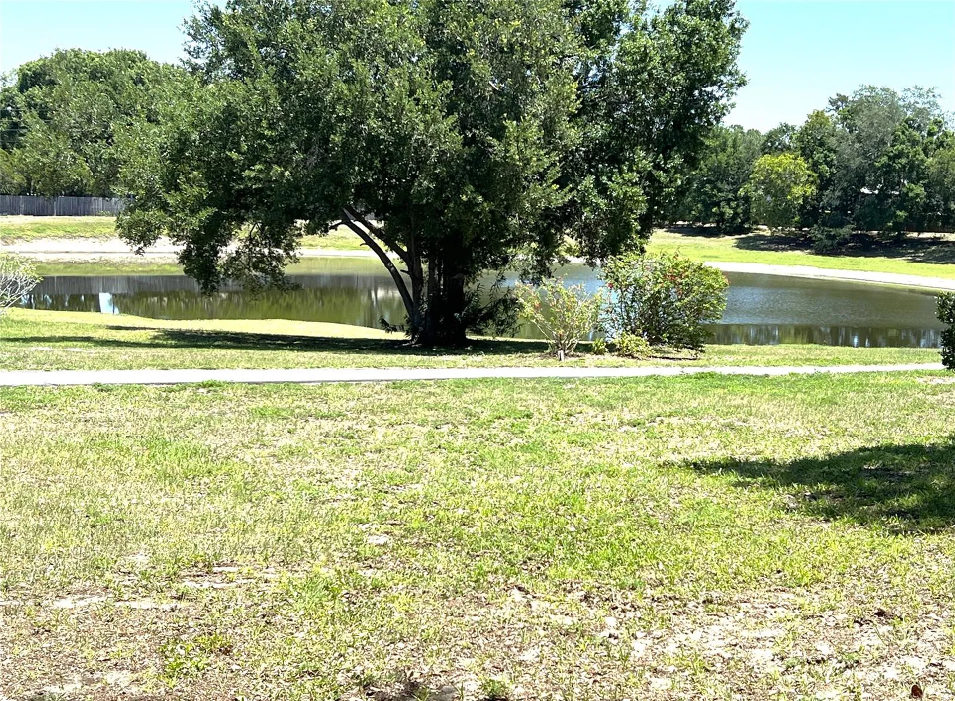 2655 Pine Ridge Way N Palm Harbor FL 34684