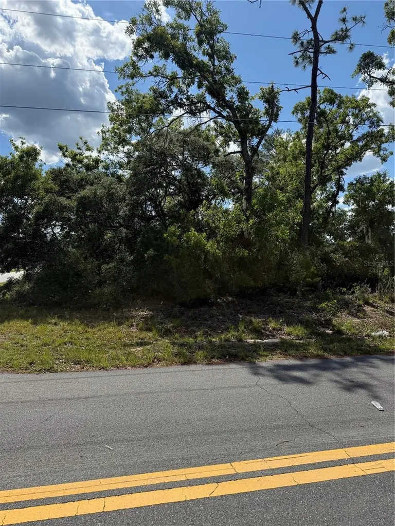 Tbd Oak Pass Run Ocala FL 34472