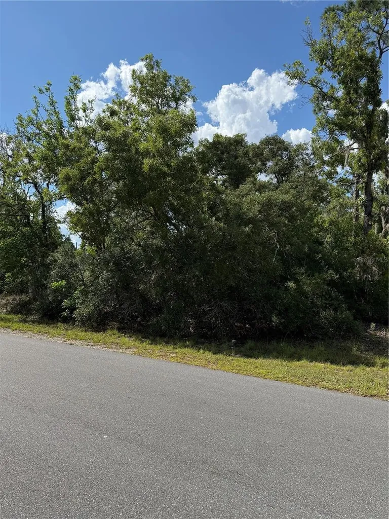 Tbd Oak Pass Run Ocala FL 34472