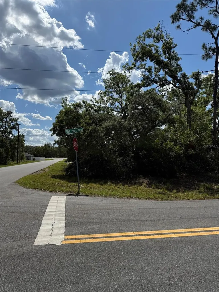 Tbd Oak Pass Run Ocala FL 34472