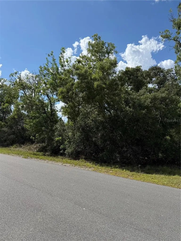 Tbd Oak Pass Run Ocala FL 34472