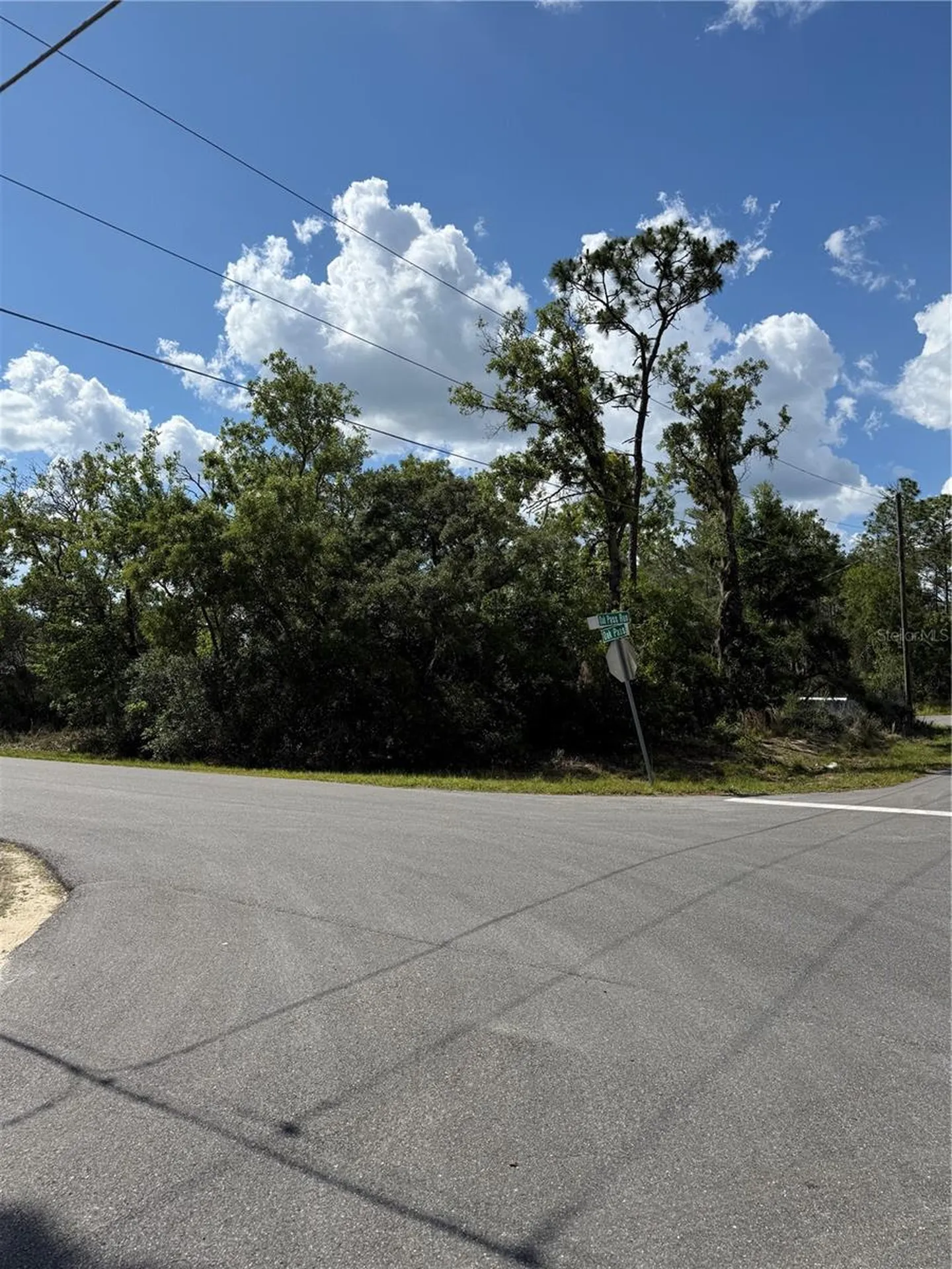 Tbd Oak Pass Run Ocala FL 34472