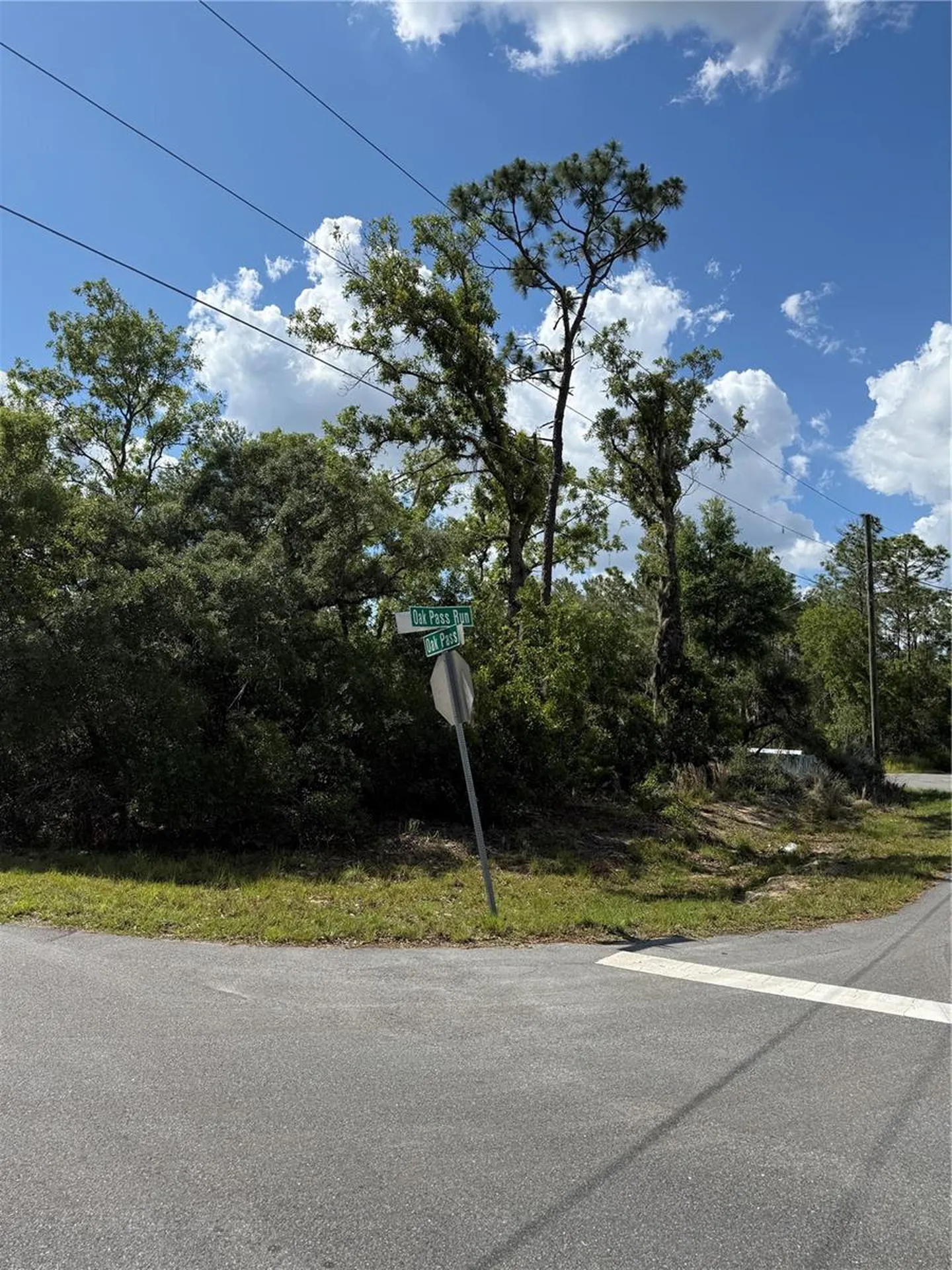 Tbd Oak Pass Run Ocala FL 34472