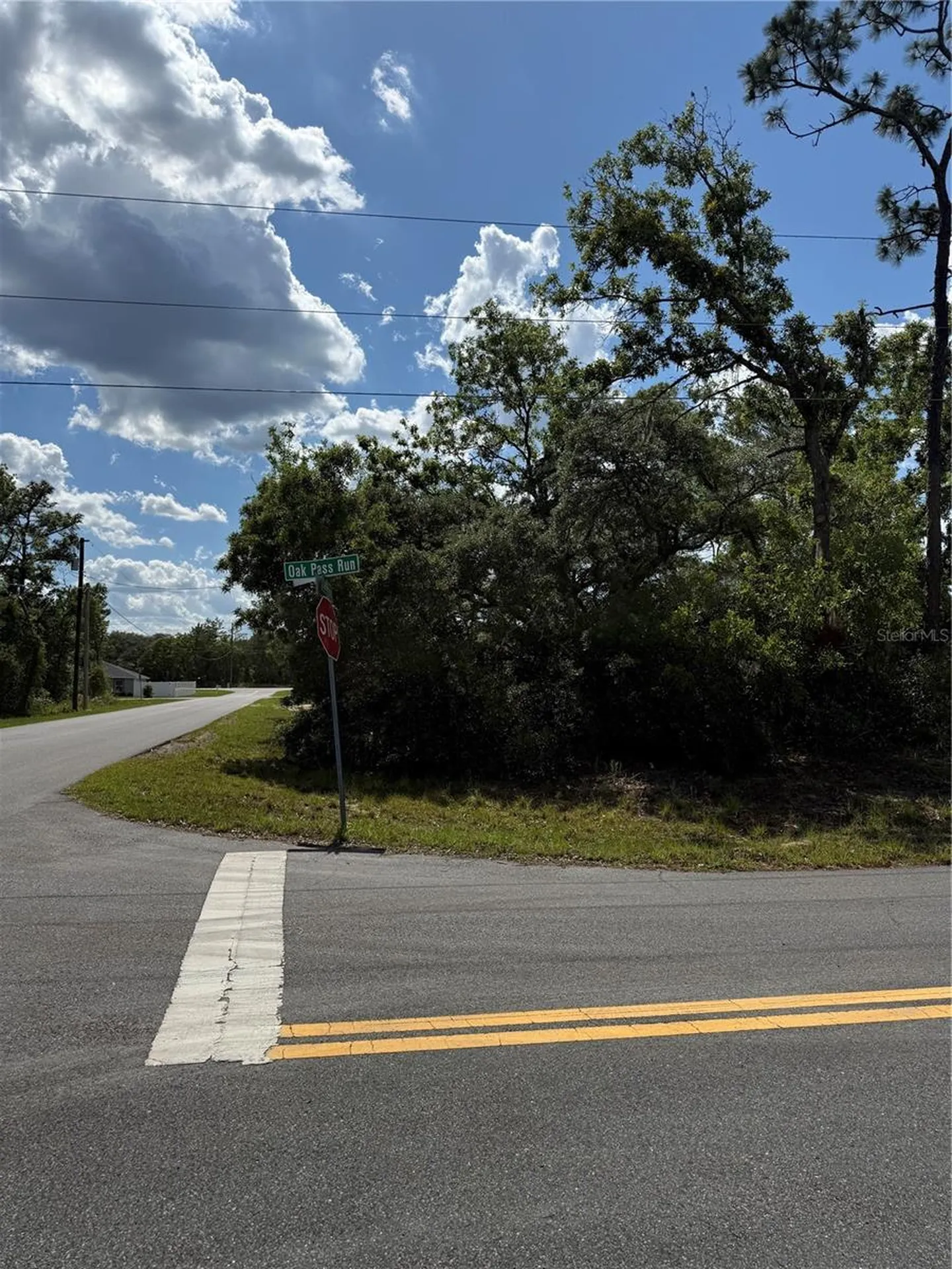 Tbd Oak Pass Run Ocala FL 34472