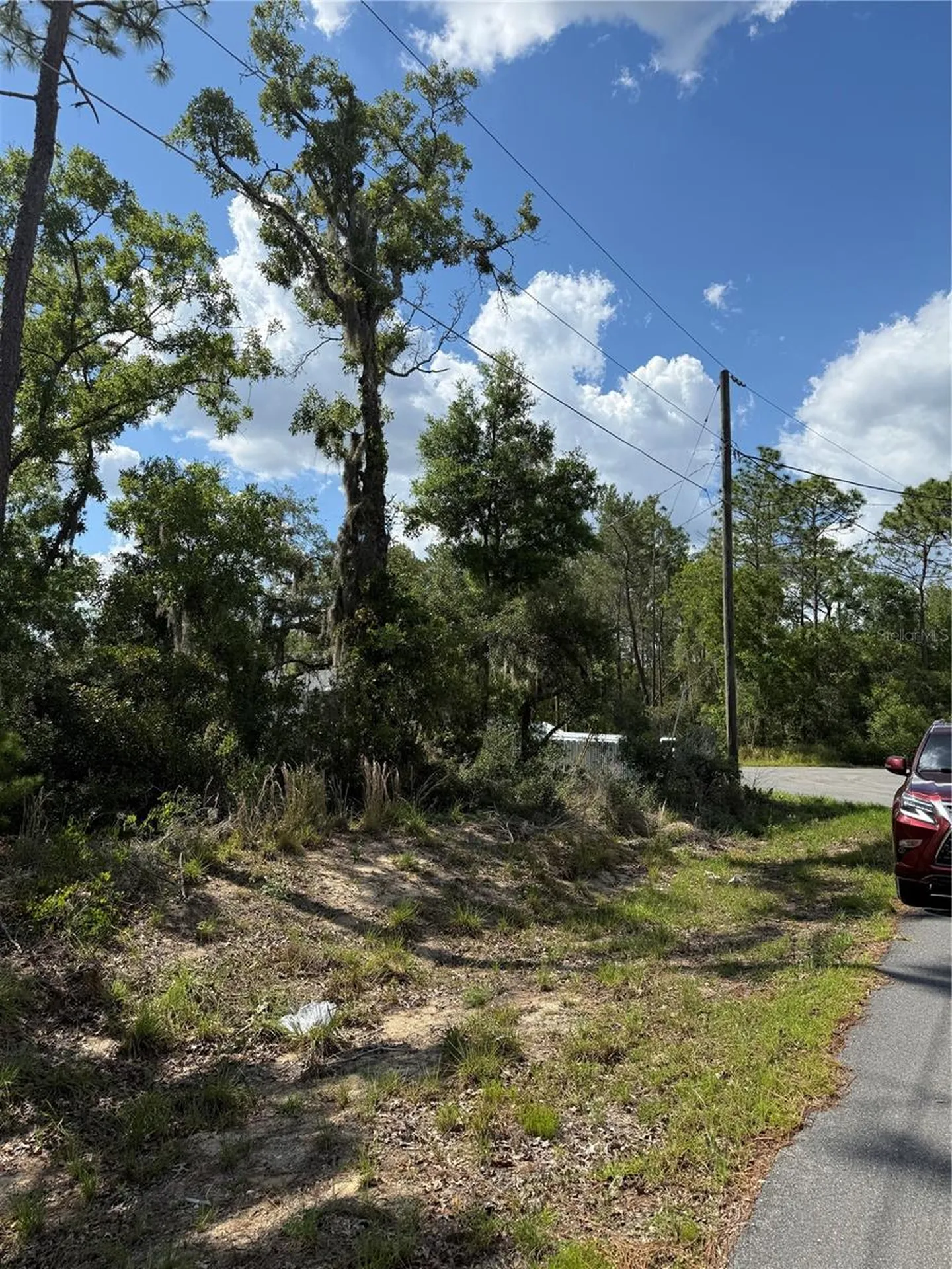 Tbd Oak Pass Run Ocala FL 34472
