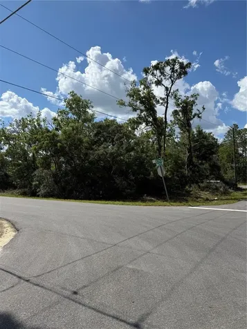 Tbd Oak Pass Run Ocala FL 34472