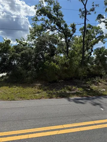 Tbd Oak Pass Run Ocala FL 34472