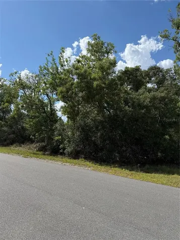 Tbd Oak Pass Run Ocala FL 34472
