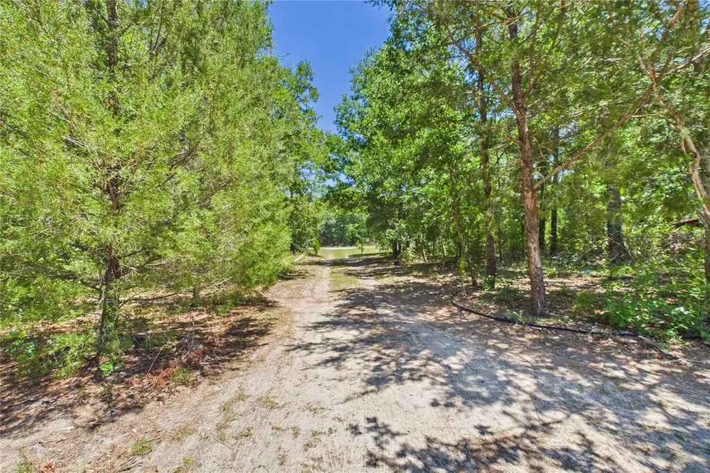 6844 S Irma Point Lecanto FL 34461