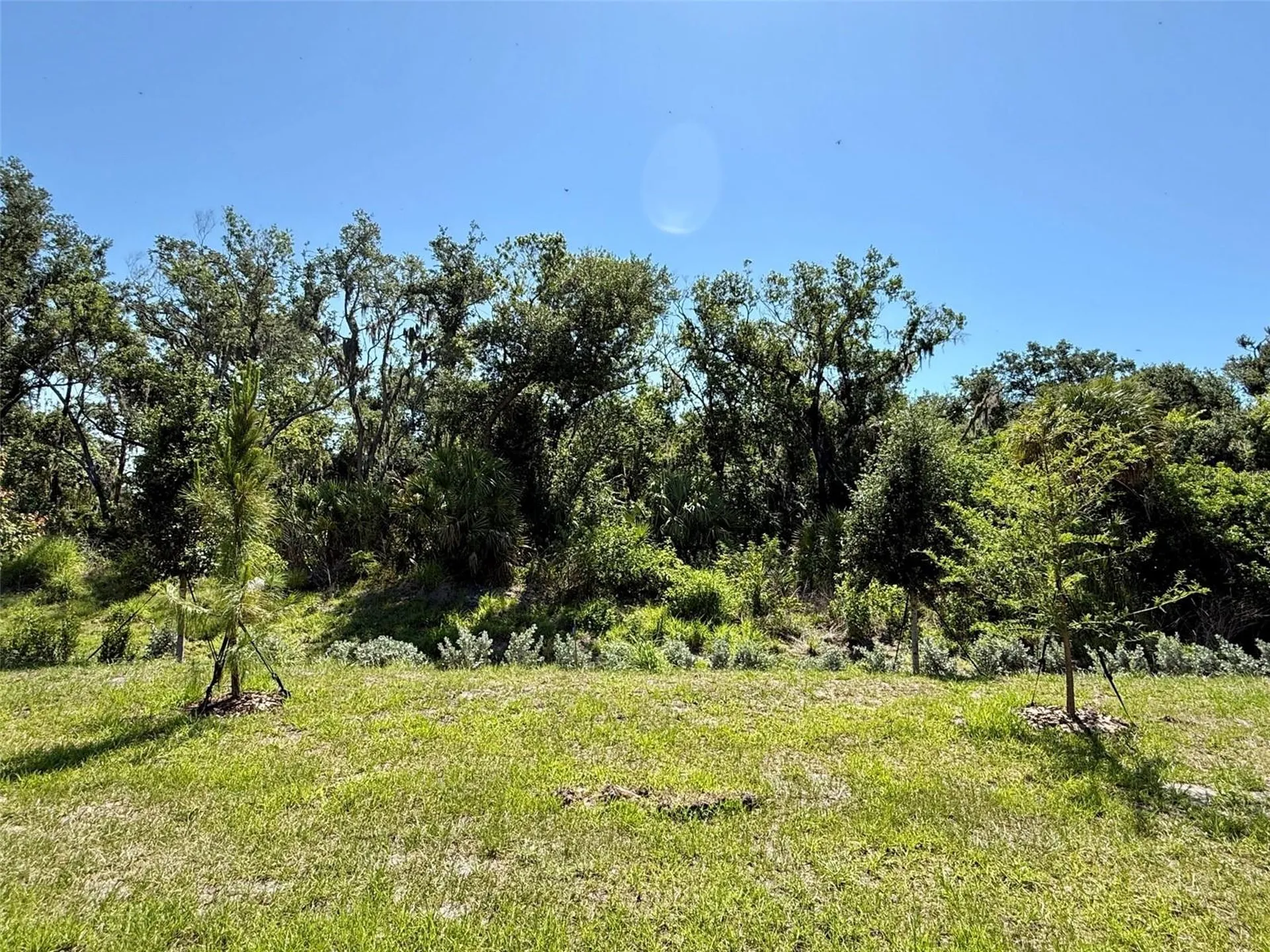 10874 Curving Creek Loop Parrish FL 34219