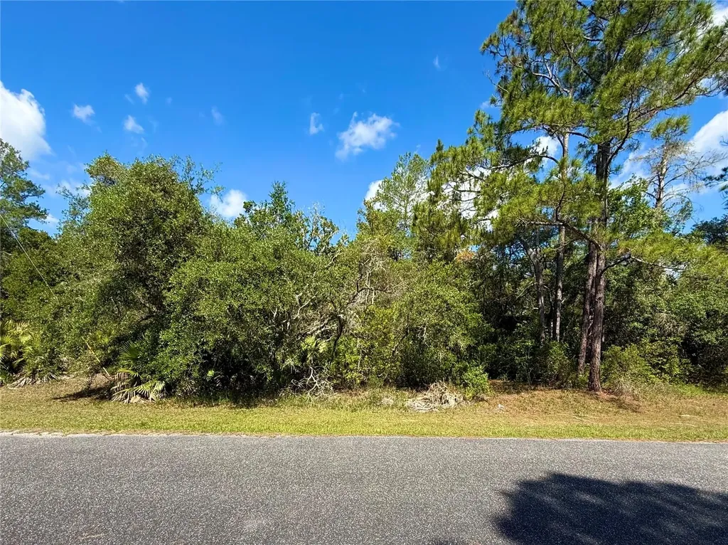 Lot 1 Jericho Trail Eustis FL 32736