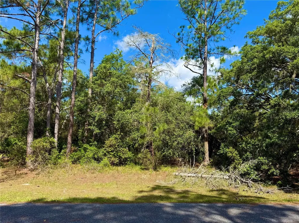Lot 1 Jericho Trail Eustis FL 32736