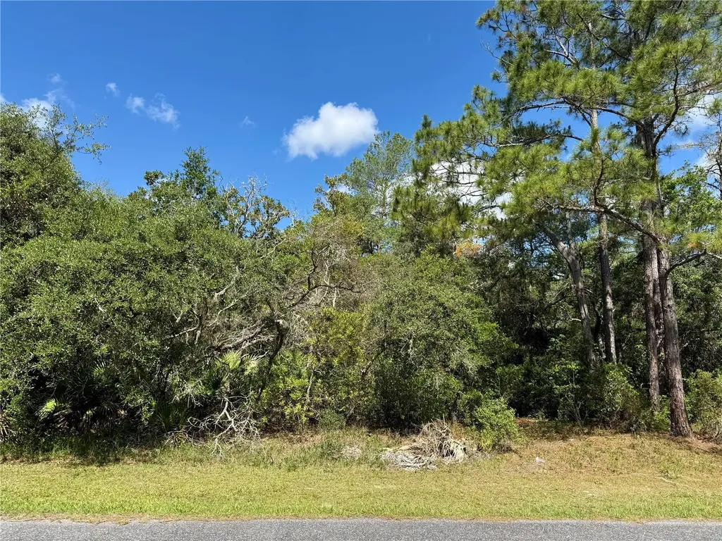 Lot 1 Jericho Trail Eustis FL 32736