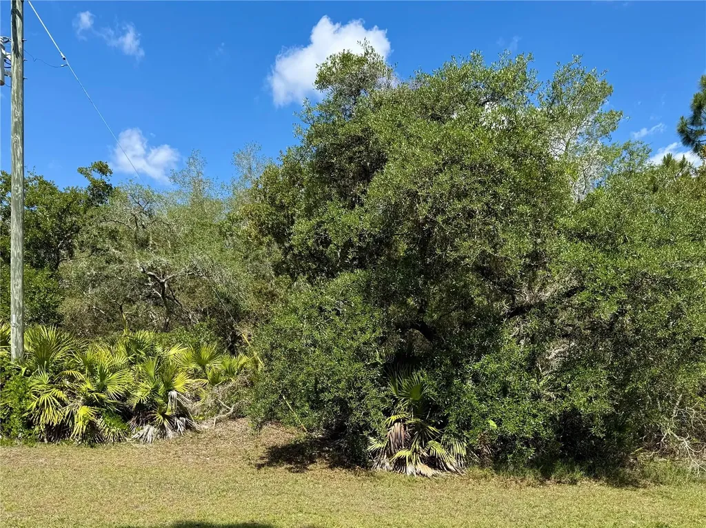 Lot 1 Jericho Trail Eustis FL 32736