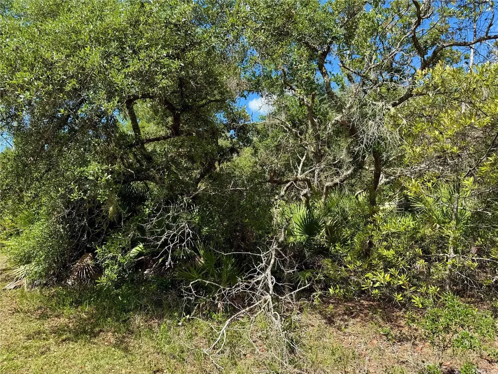 Lot 1 Jericho Trail Eustis FL 32736