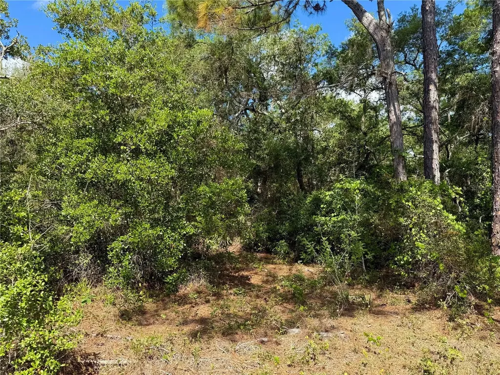 Lot 1 Jericho Trail Eustis FL 32736