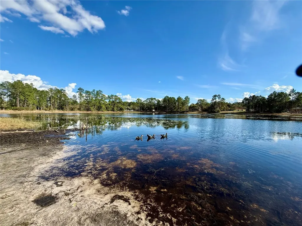 Lot 1 Jericho Trail Eustis FL 32736