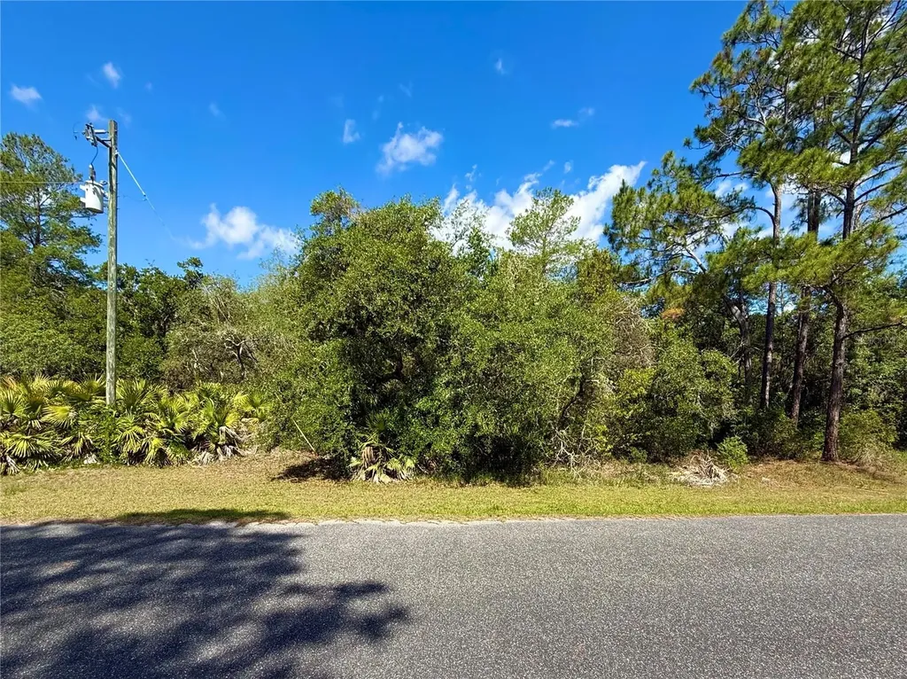 Lot 1 Jericho Trail Eustis FL 32736
