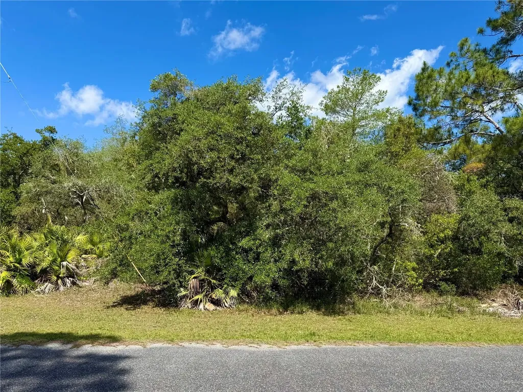 Lot 1 Jericho Trail Eustis FL 32736