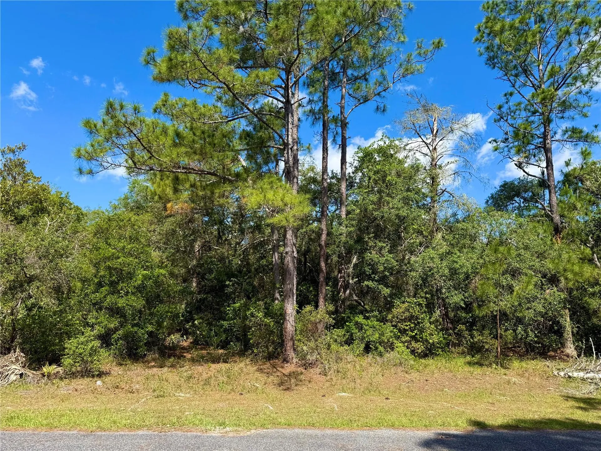 Lot 1 Jericho Trail Eustis FL 32736
