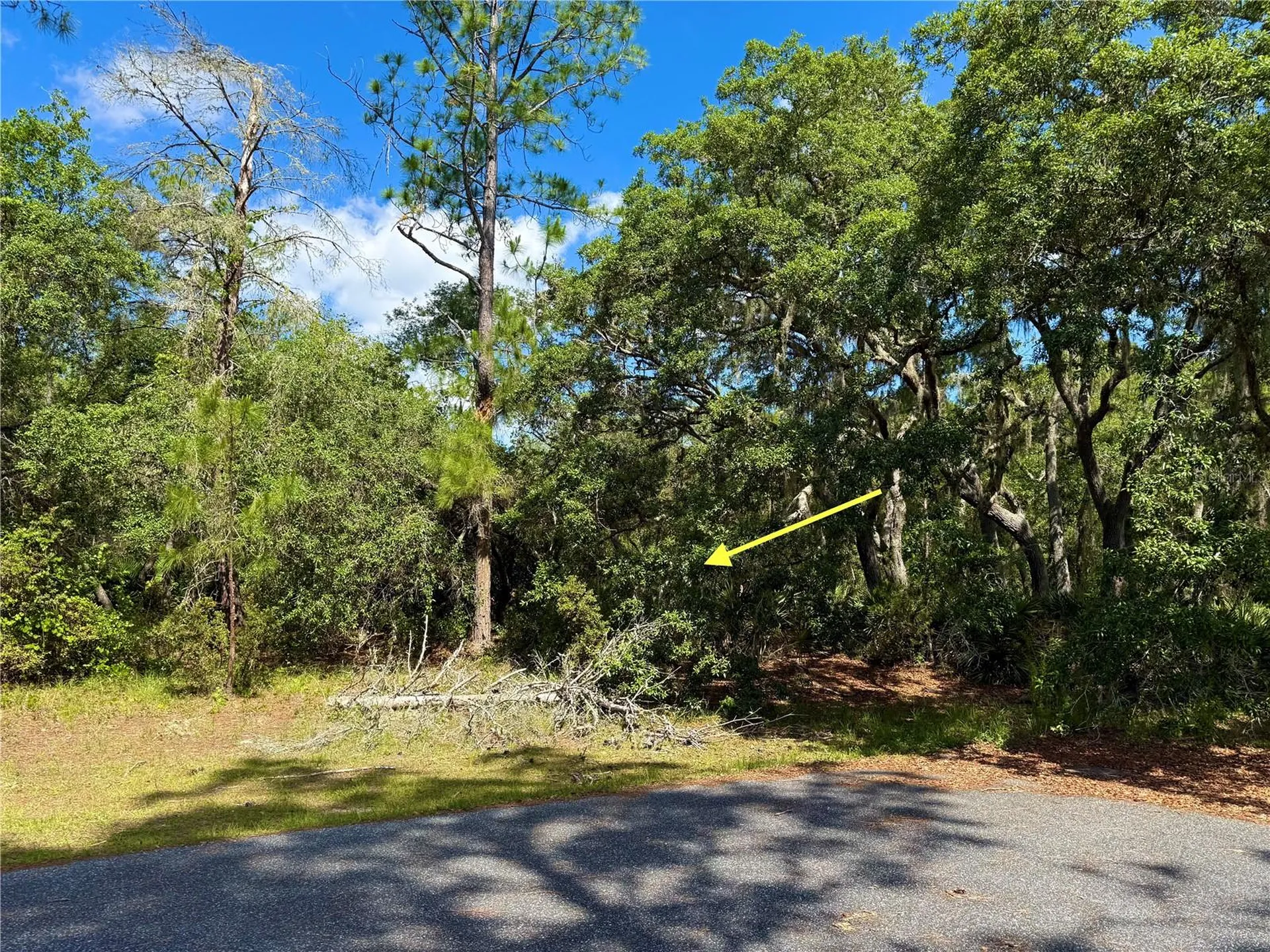 Lot 1 Jericho Trail Eustis FL 32736