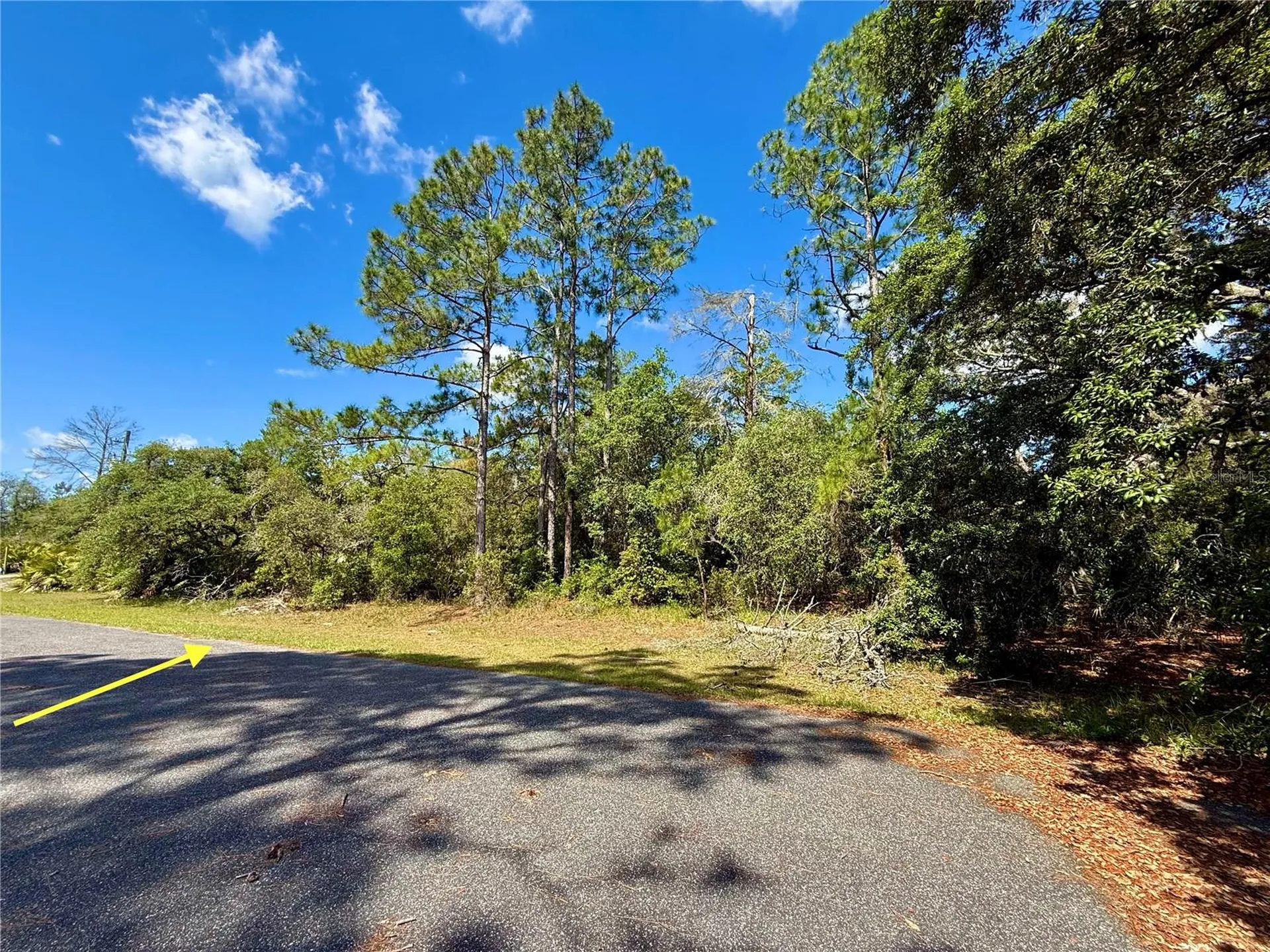 Lot 1 Jericho Trail Eustis FL 32736