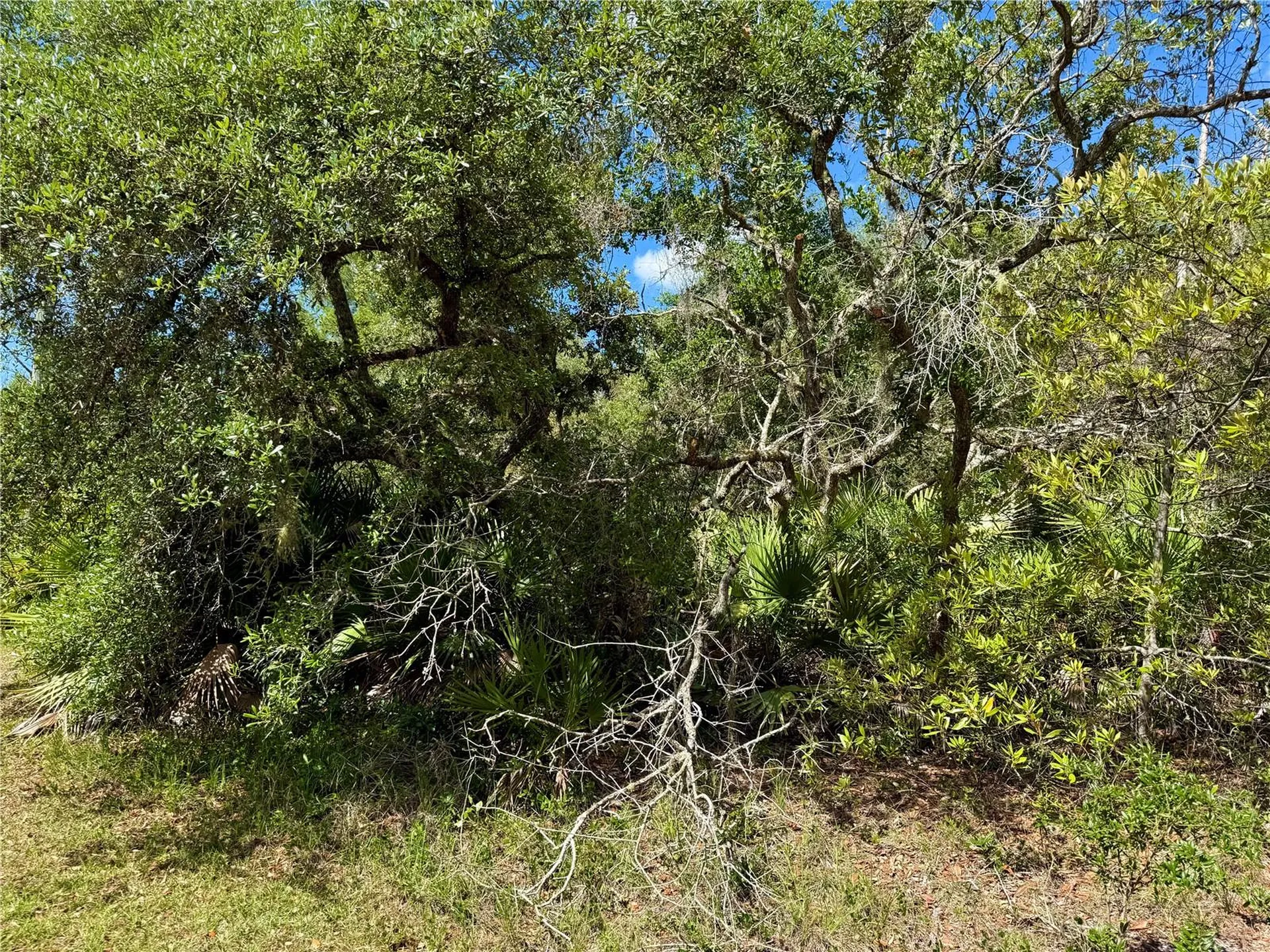 Lot 1 Jericho Trail Eustis FL 32736