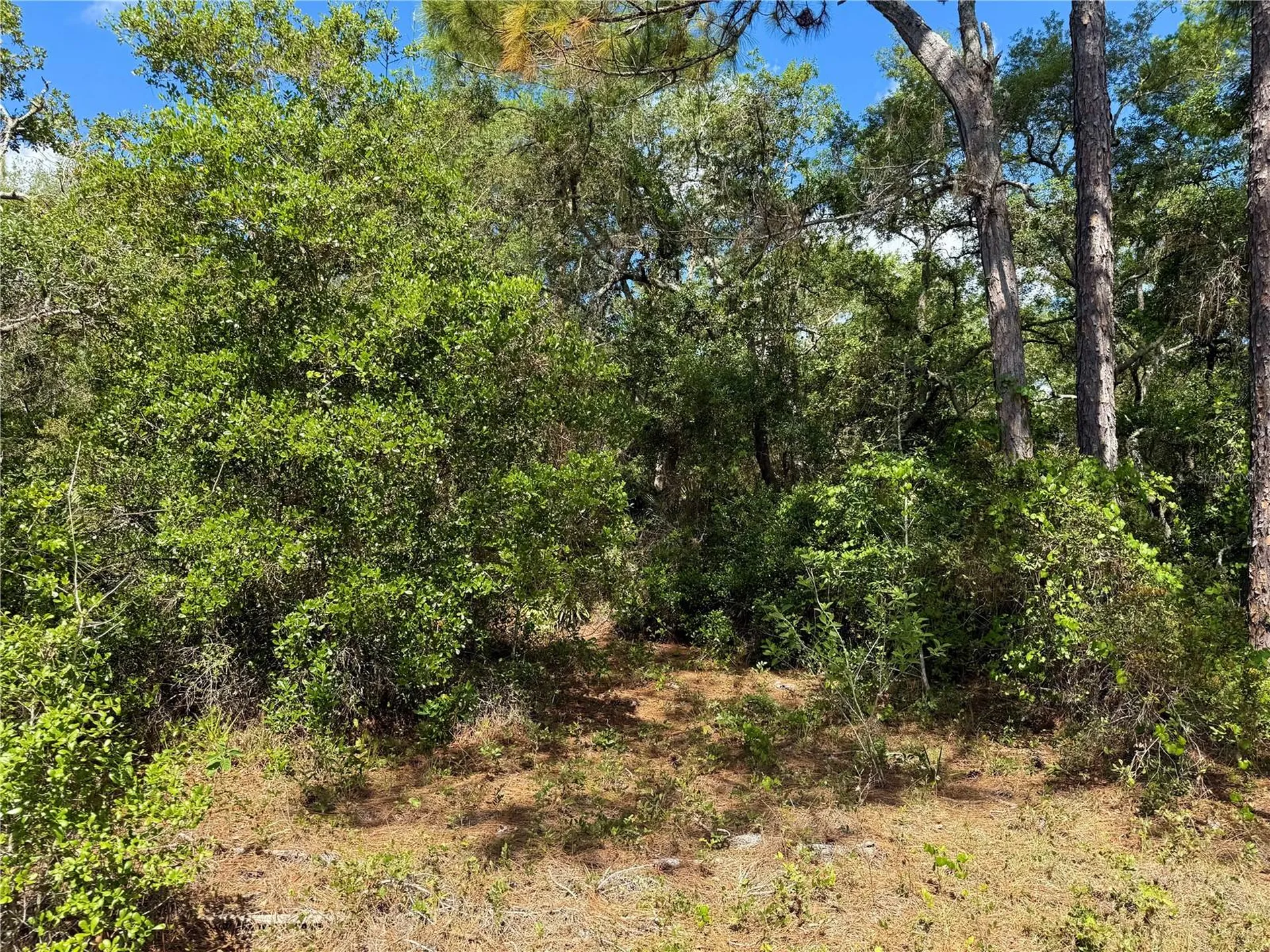 Lot 1 Jericho Trail Eustis FL 32736