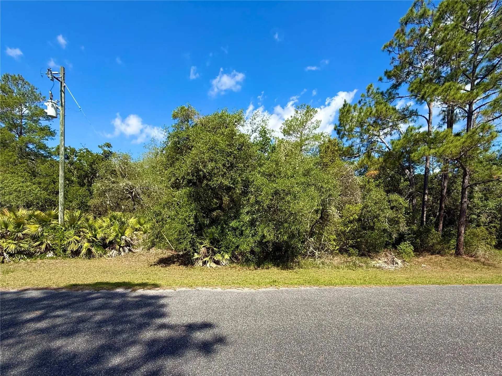 Lot 1 Jericho Trail Eustis FL 32736