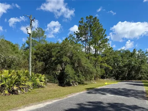 LOT 1 Jericho Trail Eustis FL 32736
