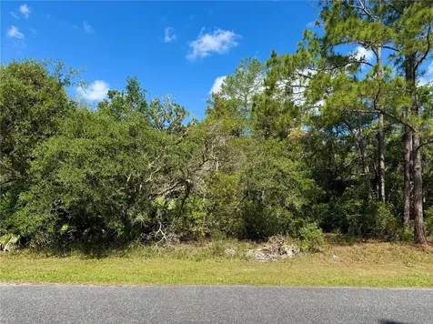 Lot 1 Jericho Trail Eustis FL 32736