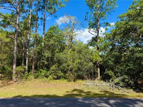 Lot 1 Jericho Trail Eustis FL 32736