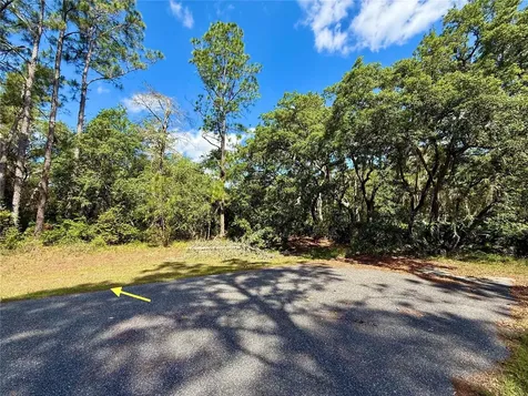 Lot 1 Jericho Trail Eustis FL 32736
