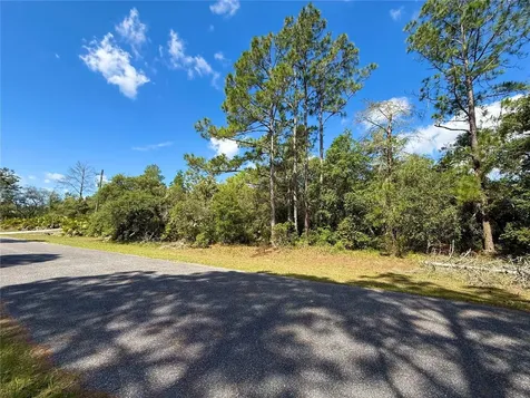 Lot 1 Jericho Trail Eustis FL 32736