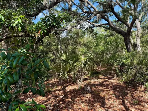 Lot 1 Jericho Trail Eustis FL 32736