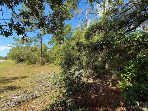 Lot 1 Jericho Trail Eustis FL 32736