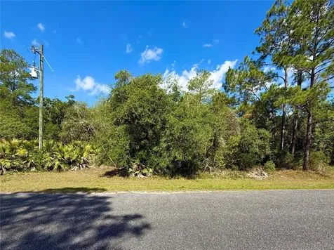Lot 1 Jericho Trail Eustis FL 32736