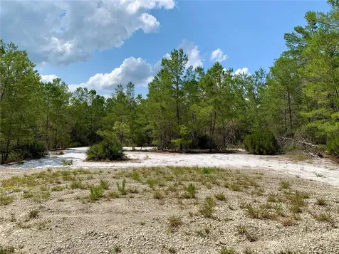 Lot 1 Jericho Trail Eustis FL 32736